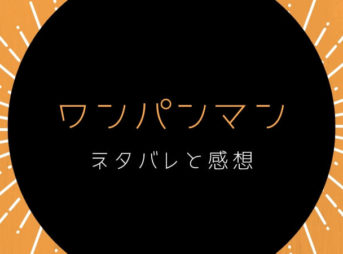 ワンパンマンの感想とネタバレ