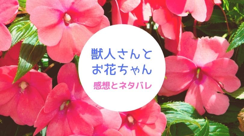 獣人さんとお花ちゃん13話ネタバレ 何度も絶頂を迎える花にサナティは まんがプラネット 獣人さんとお花ちゃん13話ネタバレ 何度も絶頂を迎える花にサナティは まんがプラネット